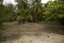 3L9A9431.jpg [Polynesie]Tuamotu - Rangiroa - Copyright : See Otherwise 2012 - 2022