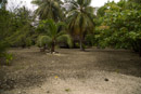 Tuamotu - Rangiroa - Copyright : See Otherwise 2012 - 2023