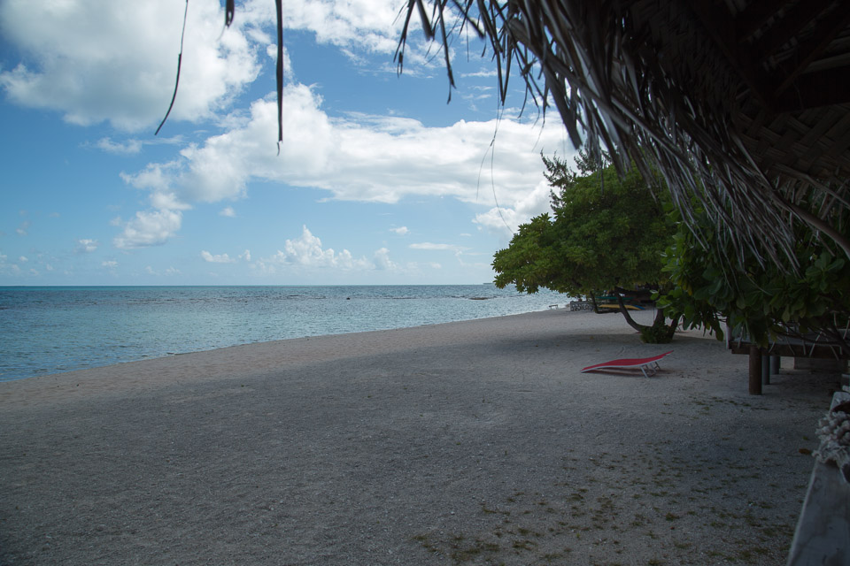 3L9A9071.jpg Tuamotu - Tikehau - Copyright : See Otherwise 2012 - 2025