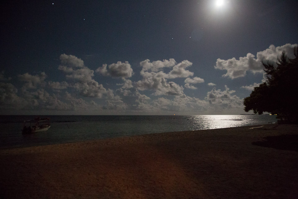 3L9A9099.jpg Tuamotu - Tikehau - Copyright : See Otherwise 2012 - 2025