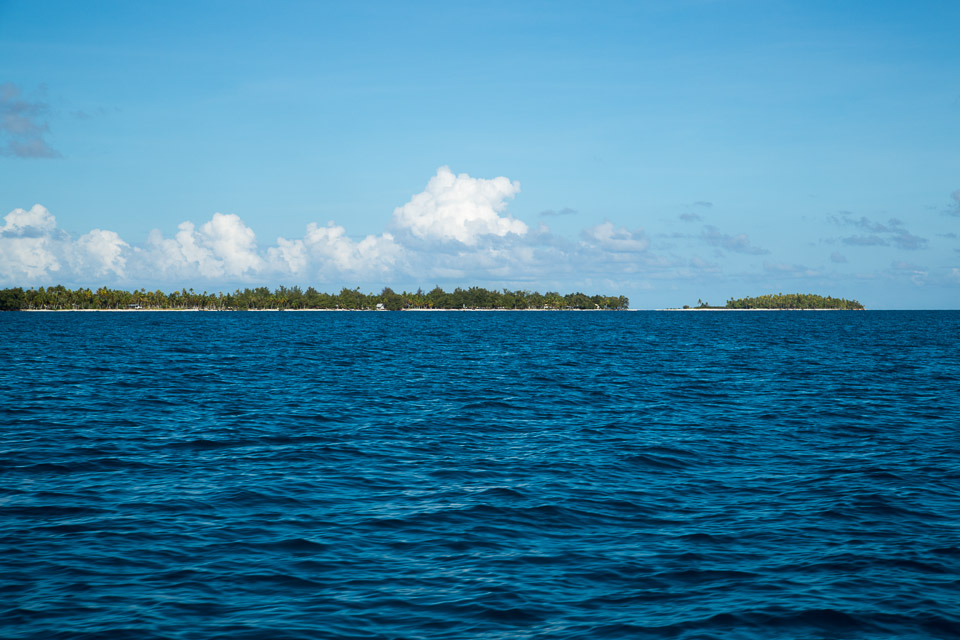 3L9A9110.jpg Tuamotu - Tikehau - Copyright : See Otherwise 2012 - 2025