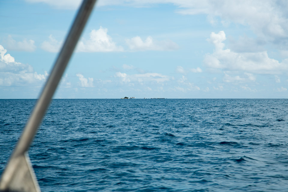 3L9A9113.jpg Tuamotu - Tikehau - Copyright : See Otherwise 2012 - 2025