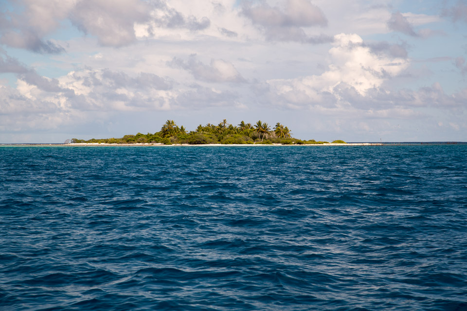 3L9A9122.jpg Tuamotu - Tikehau - Copyright : See Otherwise 2012 - 2025
