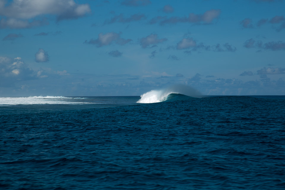 3L9A9125.jpg Tuamotu - Tikehau - Copyright : See Otherwise 2012 - 2024