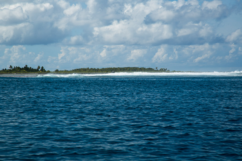 3L9A9133.jpg Tuamotu - Tikehau - Copyright : See Otherwise 2012 - 2025