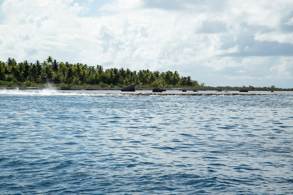 3L9A9147.jpg Tuamotu - Tikehau - Copyright : See Otherwise 2012 - 2025