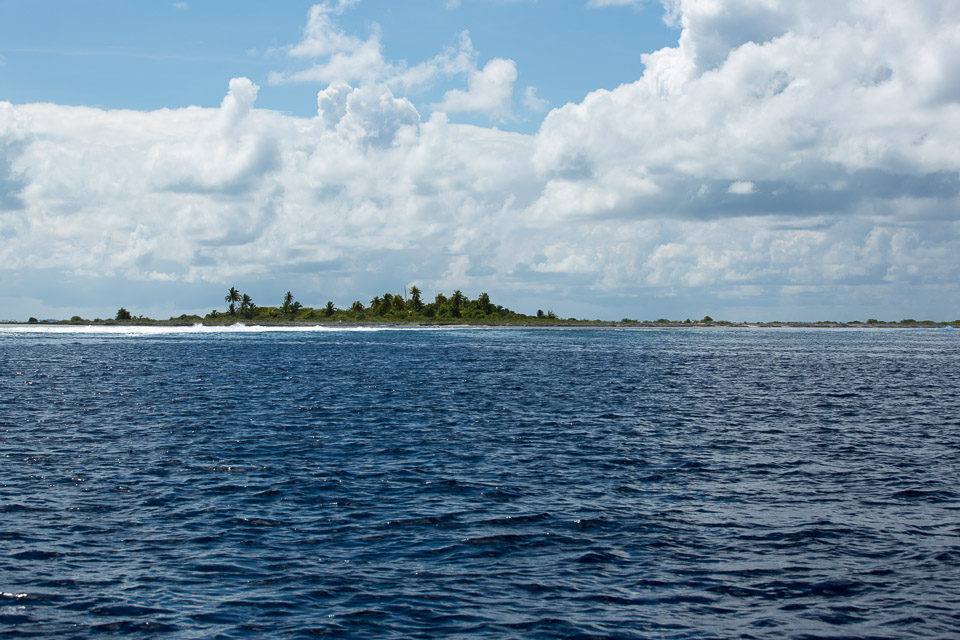 3L9A9155.jpg Tuamotu - Tikehau - Copyright : See Otherwise 2012 - 2025