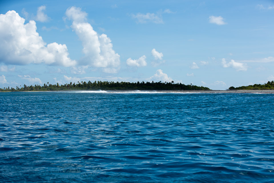 3L9A9159.jpg Tuamotu - Tikehau - Copyright : See Otherwise 2012 - 2025