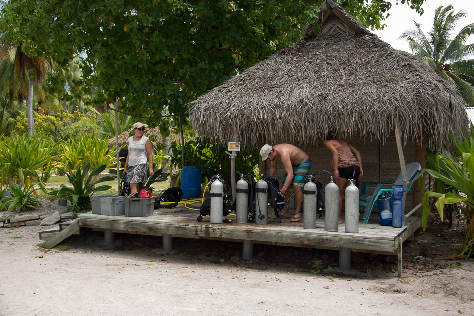 3L9A9166.jpg Tuamotu - Tikehau - Copyright : See Otherwise 2012 - 2025
