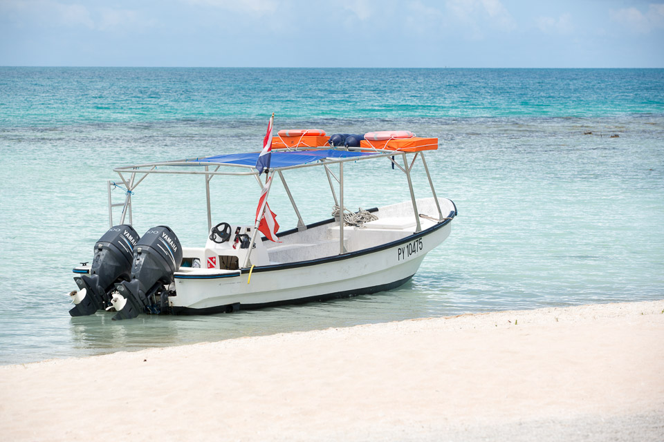 3L9A9170.jpg Tuamotu - Tikehau - Copyright : See Otherwise 2012 - 2025