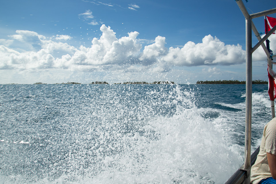 3L9A9276.jpg Tuamotu - Tikehau - Copyright : See Otherwise 2012 - 2025