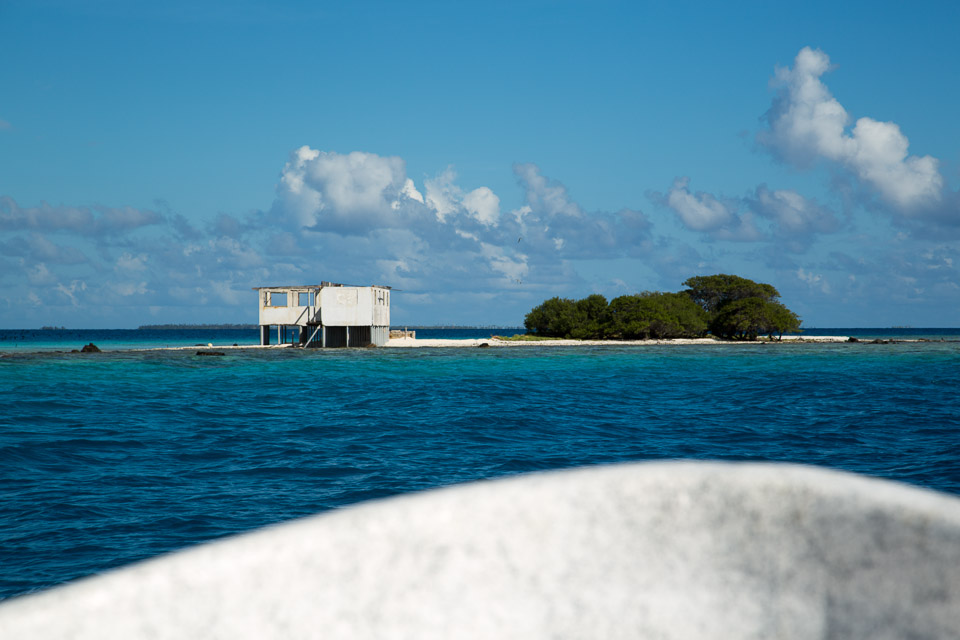 3L9A9278.jpg Tuamotu - Tikehau - Copyright : See Otherwise 2012 - 2025