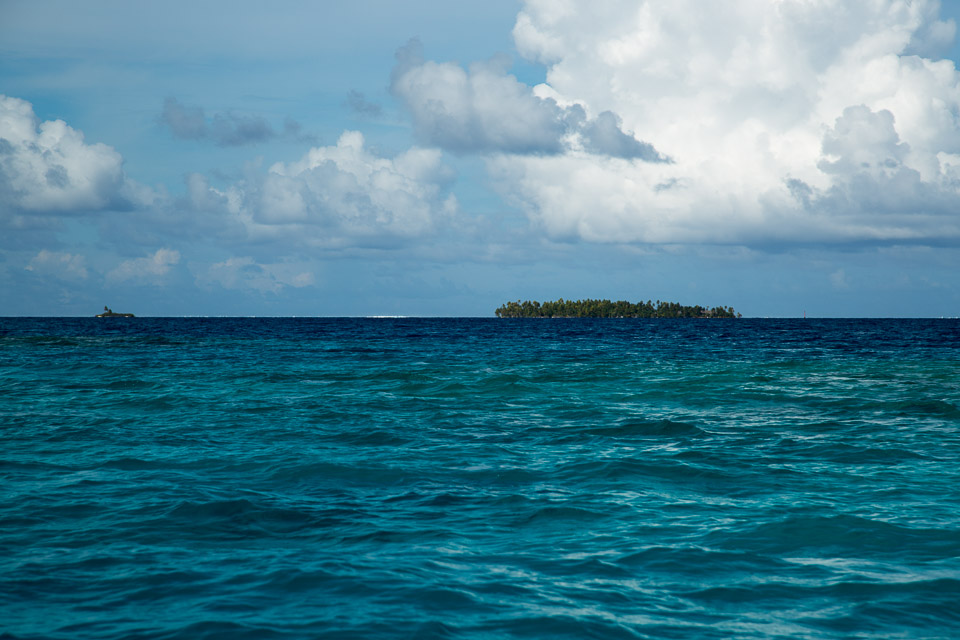 3L9A9283.jpg Tuamotu - Tikehau - Copyright : See Otherwise 2012 - 2025