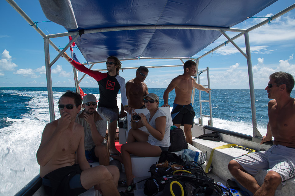 3L9A9292.jpg Tuamotu - Tikehau - Copyright : See Otherwise 2012 - 2025