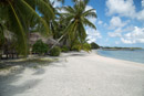3L9A9076.jpg Tuamotu - Tikehau - Copyright : See Otherwise 2012 - 2023