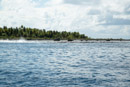 Tuamotu - Tikehau - Copyright : See Otherwise 2012 - 2023