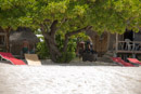 Tuamotu - Tikehau - Copyright : See Otherwise 2012 - 2023