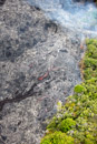 Vol en helico - Copyright : See Otherwise 2012 - 2023