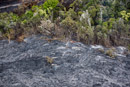 Vol en helico - Copyright : See Otherwise 2012 - 2026