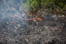Vol en helico - Copyright : See Otherwise 2012 - 2023