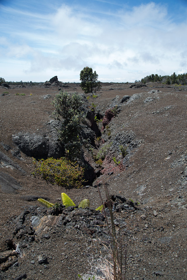 3L9A9331.jpg Volcan Kilauea - Copyright : See Otherwise 2012 - 2024