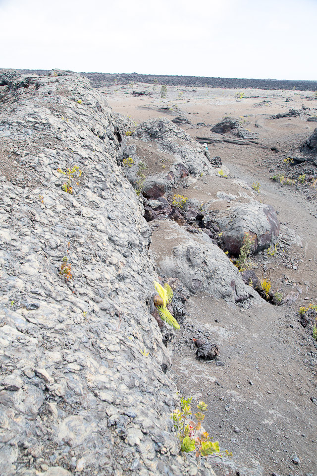 3L9A9355.jpg Volcan Kilauea - Copyright : See Otherwise 2012 - 2025
