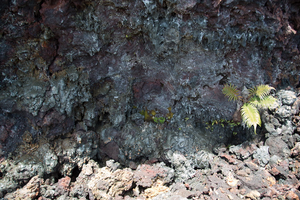 3L9A9358.jpg Volcan Kilauea - Copyright : See Otherwise 2012 - 2025