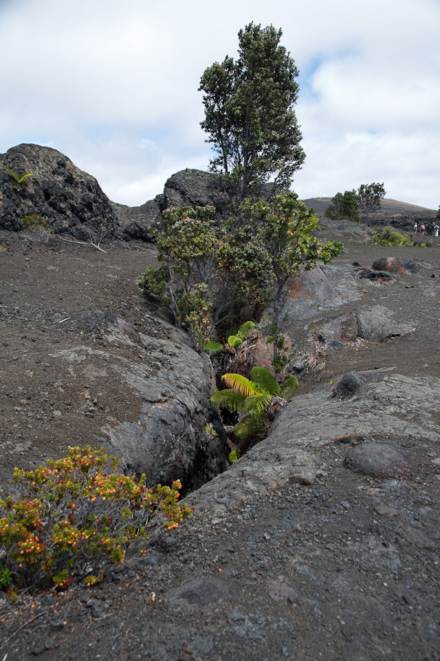 3L9A9387.jpg Volcan Kilauea - Copyright : See Otherwise 2012 - 2024