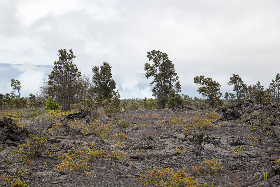 3L9A9468.jpg Volcan Kilauea - Copyright : See Otherwise 2012 - 2024