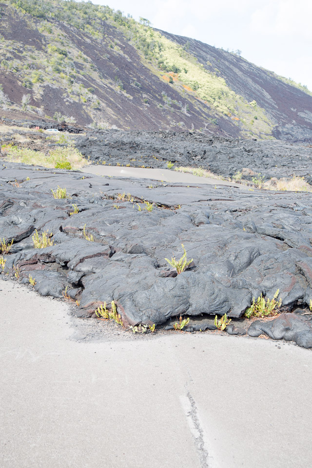 3L9A9633.jpg Volcan Kilauea - Copyright : See Otherwise 2012 - 2024