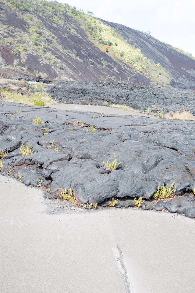 3L9A9633.jpg Volcan Kilauea - Copyright : See Otherwise 2012 - 2025