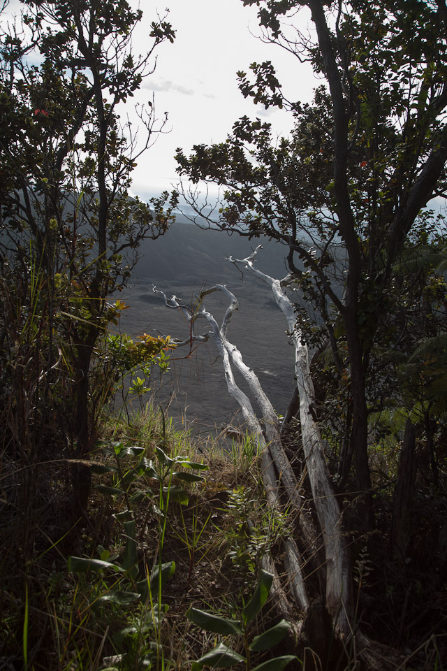 3L9A9724.jpg Volcan Kilauea - Copyright : See Otherwise 2012 - 2024