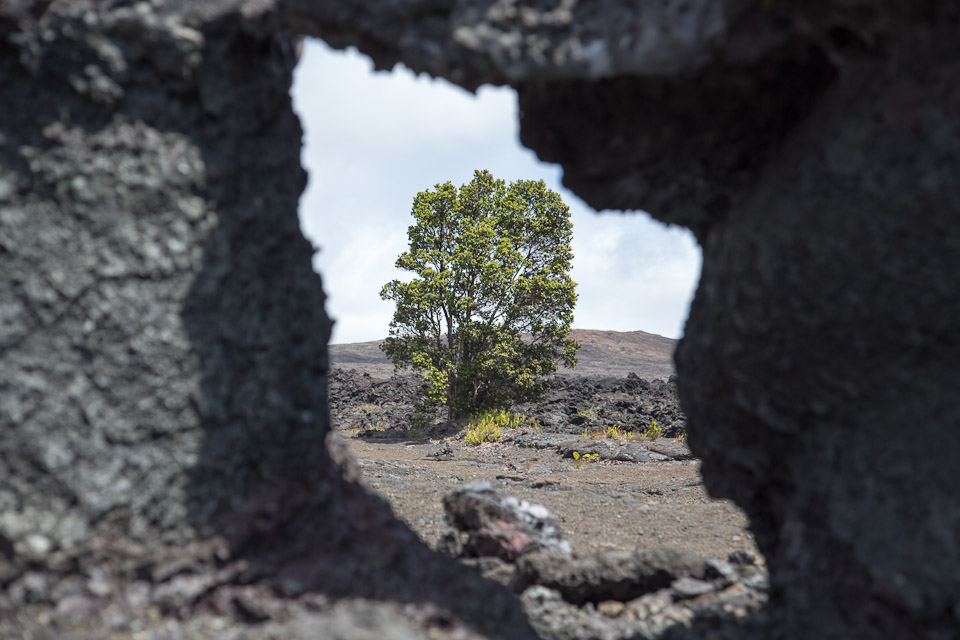 3L9A9417.jpg Volcan Kilauea - Copyright : See Otherwise 2012 - 2025