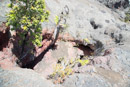 Volcan Kilauea - Copyright : See Otherwise 2012 - 2026