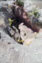 Volcan Kilauea - Copyright : See Otherwise 2012 - 2026