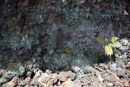 Volcan Kilauea - Copyright : See Otherwise 2012 - 2023