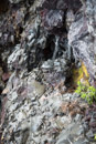 Volcan Kilauea - Copyright : See Otherwise 2012 - 2023