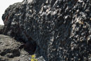Volcan Kilauea - Copyright : See Otherwise 2012 - 2026