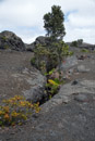 Volcan Kilauea - Copyright : See Otherwise 2012 - 2023