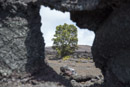 Volcan Kilauea - Copyright : See Otherwise 2012 - 2023