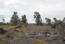 Volcan Kilauea - Copyright : See Otherwise 2012 - 2026