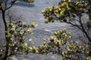 Volcan Kilauea - Copyright : See Otherwise 2012 - 2023