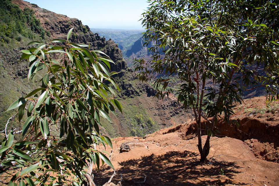3L9A8376.jpg Waimea canyon - Copyright : See Otherwise 2012 - 2024
