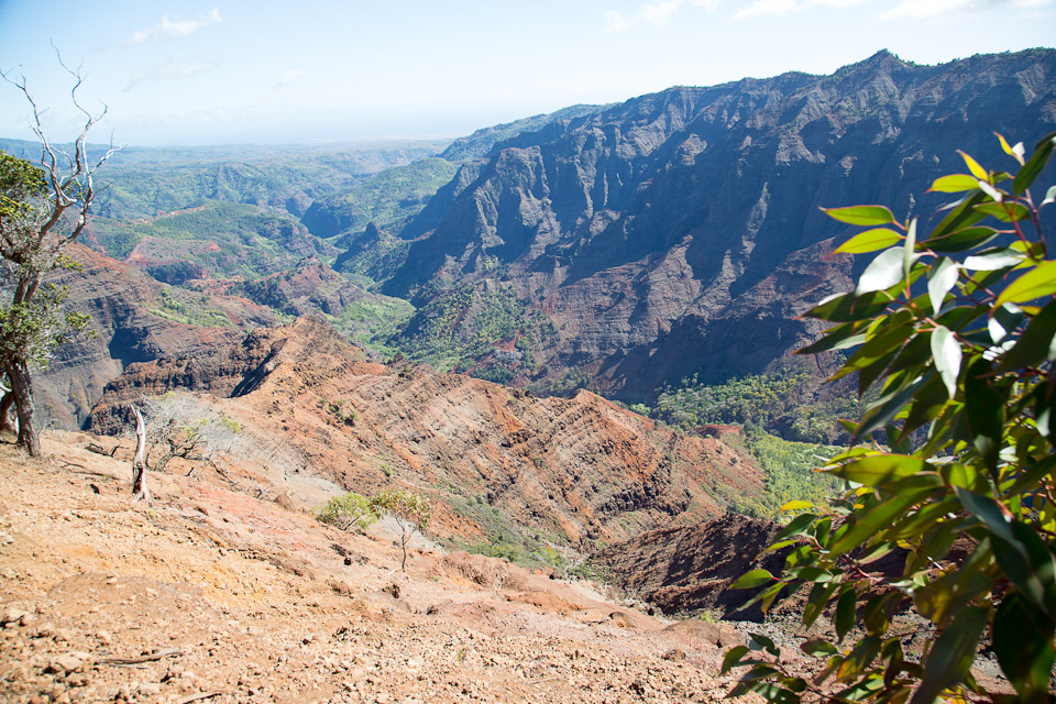 3L9A8491.jpg Waimea canyon - Copyright : See Otherwise 2012 - 2024