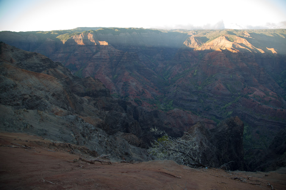 3L9A8528.jpg Waimea canyon - Copyright : See Otherwise 2012 - 2024
