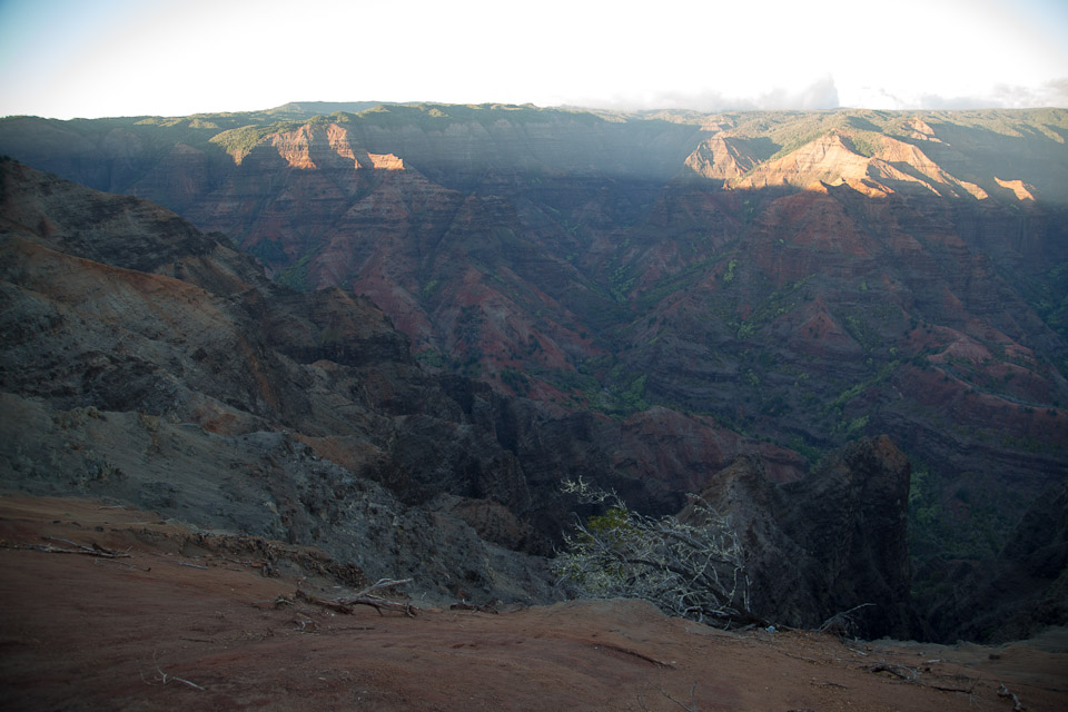 3L9A8528.jpg Waimea canyon - Copyright : See Otherwise 2012 - 2025