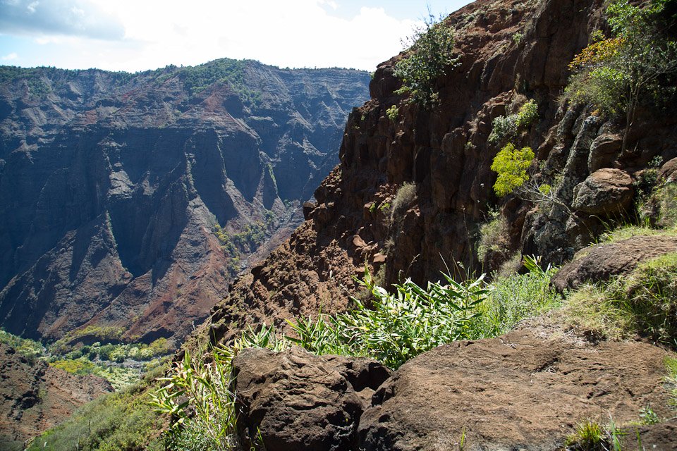 3L9A8411.jpg Waimea canyon - Copyright : See Otherwise 2012 - 2025
