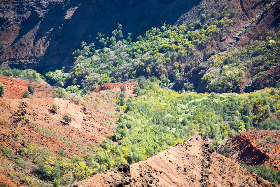 3L9A8415.jpg Waimea canyon - Copyright : See Otherwise 2012 - 2025