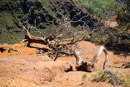 Waimea canyon - Copyright : See Otherwise 2012 - 2023