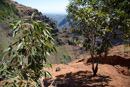 3L9A8376.jpg Waimea canyon - Copyright : See Otherwise 2012 - 2025